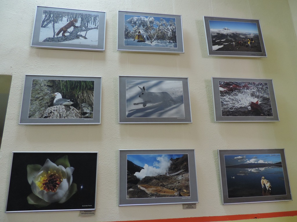 фотовыставка "Природный парк "Вулканы Камчатки"