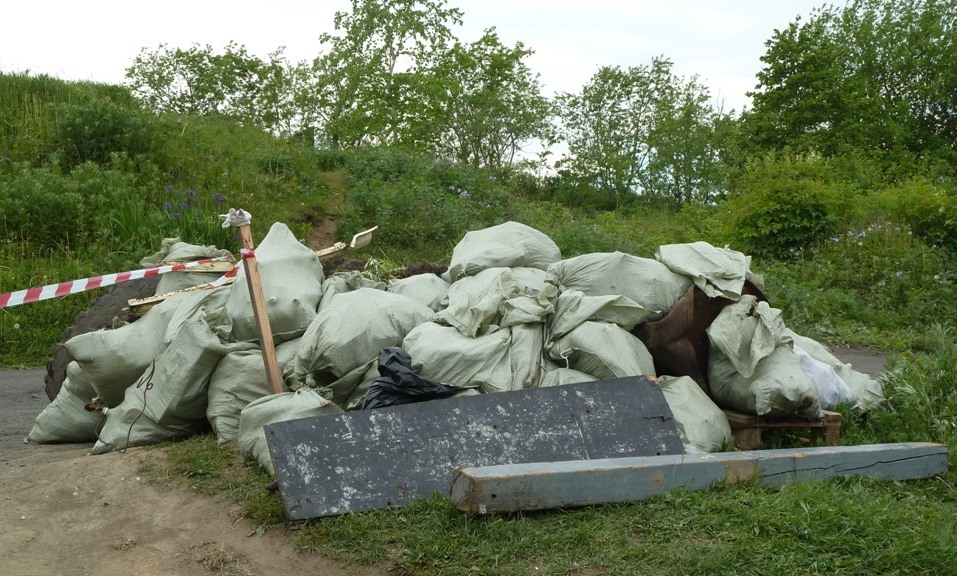 Уборка мусора, озеро Медвежье (с) Наталья Рыбникова