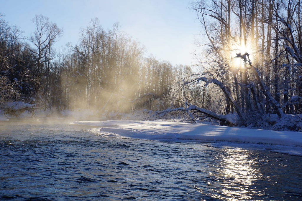 река Коль, февраль 2016 (с) Андрей Калинов